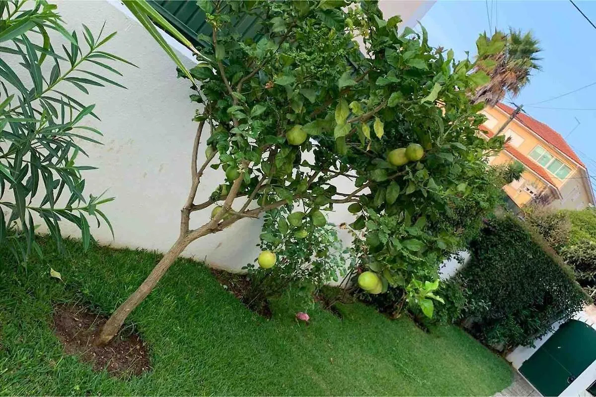 Holiday home Maison De La Marina Piscine Cascais